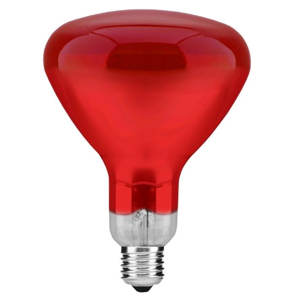 Prémiová výhřevná infra žárovka E27 100W, 125mm, celočervená