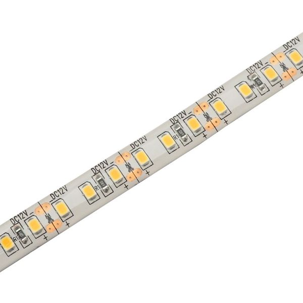 Prémiový LED pásek 120x2835 smd 24W/m, 2400lm/m, voděodolný, studená, délka 5m